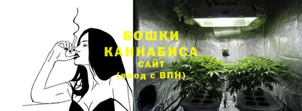 ГАЛЛЮЦИНОГЕННЫЕ ГРИБЫ Козельск