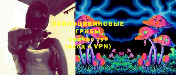 герыч Козловка