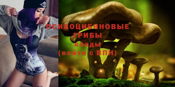 винт Кодинск