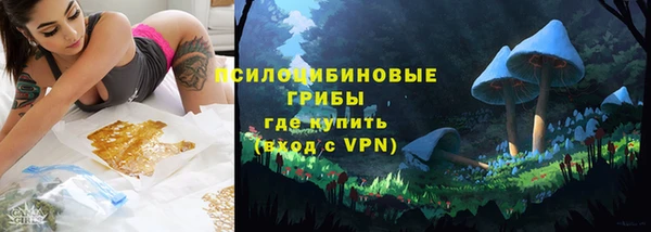ГАЛЛЮЦИНОГЕННЫЕ ГРИБЫ Козельск