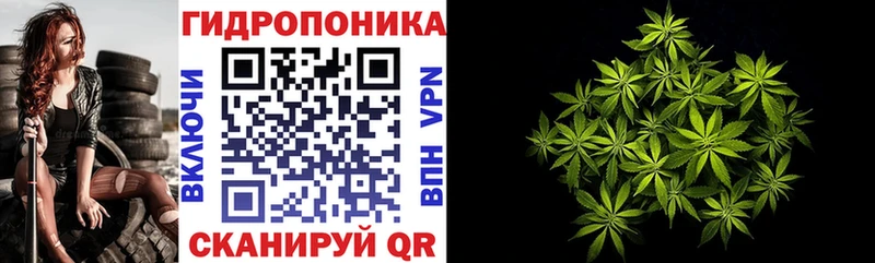 Канабис OG Kush  Купить  Бикин 